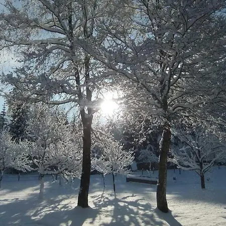 Agroturismo Weindlhof Waidring