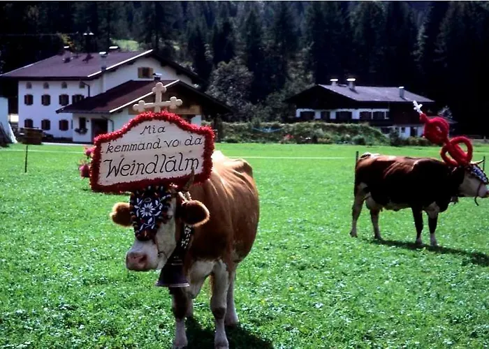 ファームステイ Weindlhof *