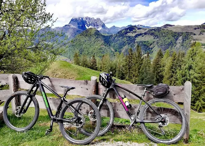 Weindlhof ファームステイ ヴァイトリンク