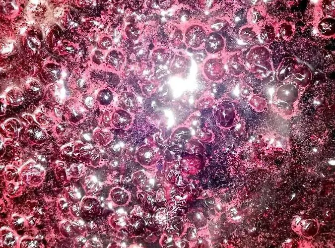 ファームステイ Weindlhof