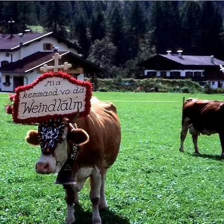 مزرعة للإقامة Weindlhof *