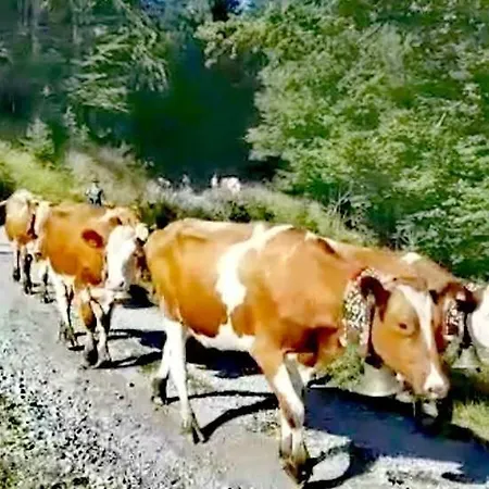 Weindlhof * ويدرنغ