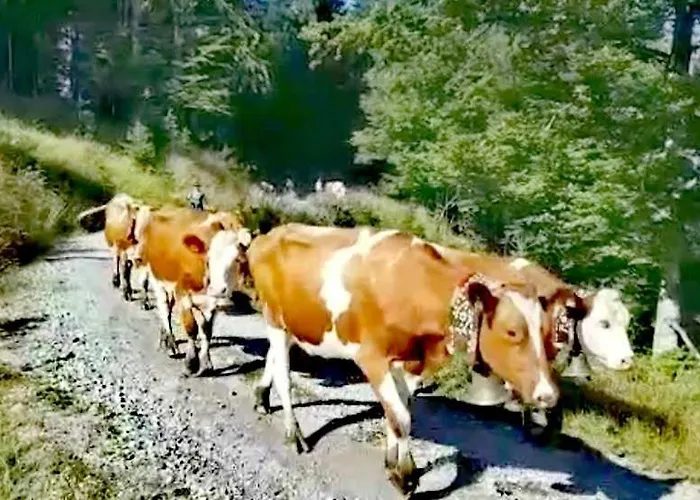 Weindlhof * Waidring